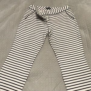 Express Capri dress pants
